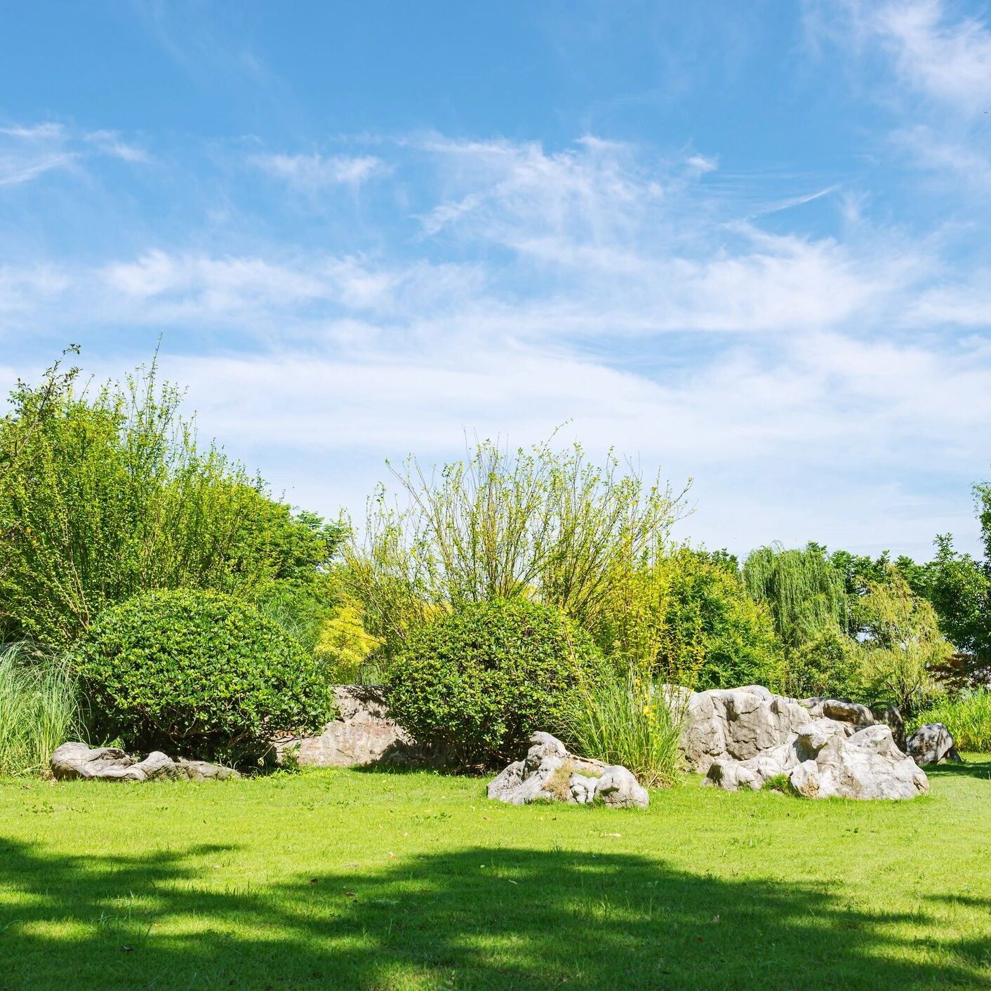 beautiful garden landscape